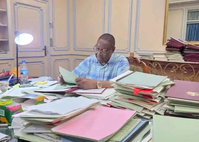 Peter Mutharika Returns to Office, New Photo Reassures Supporters After South Africa Trip