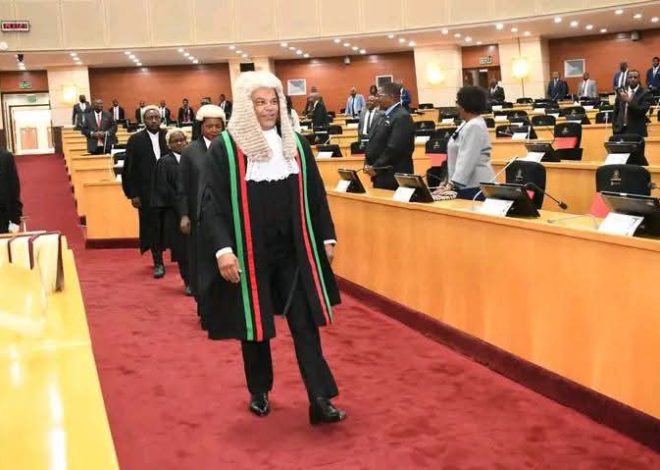 Parliament Urged to Tackle University Fees, Data Costs and Xenophobic Attacks