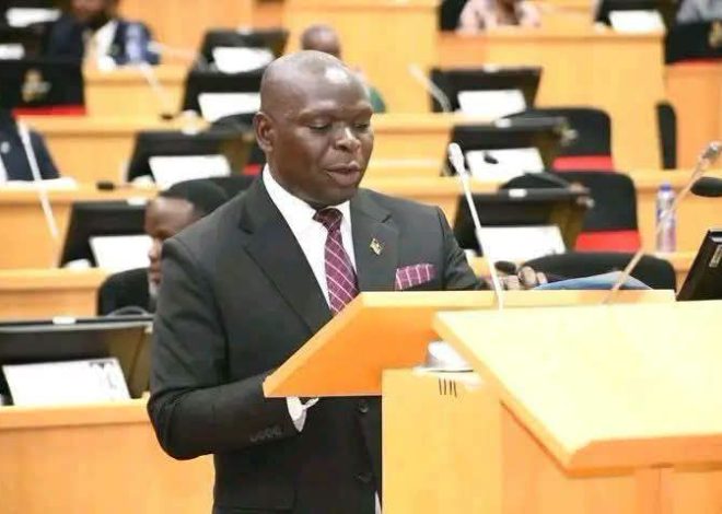 Chithyola Banda Calls for Protection, Compensation for Malawians Affected by South Africa Attacks