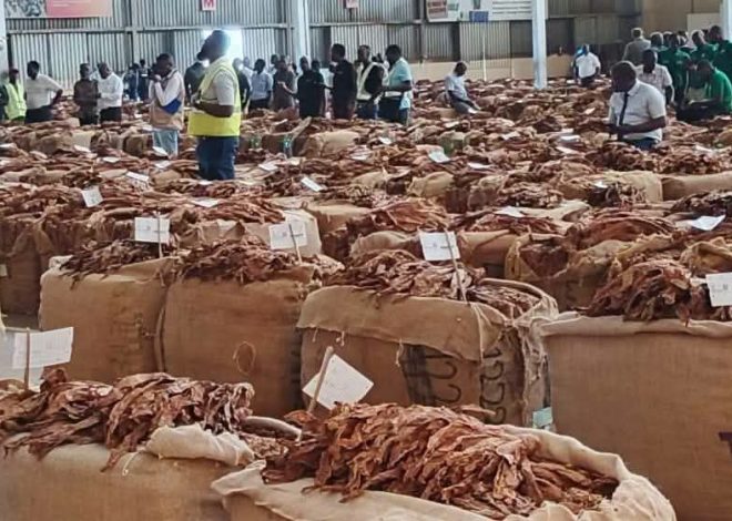 Malawi Earns US$184.4 Million from Tobacco Sales in 11 Weeks 19 Malawi Earns US$184.4 Million from Tobacco Sales in 11 Weeks