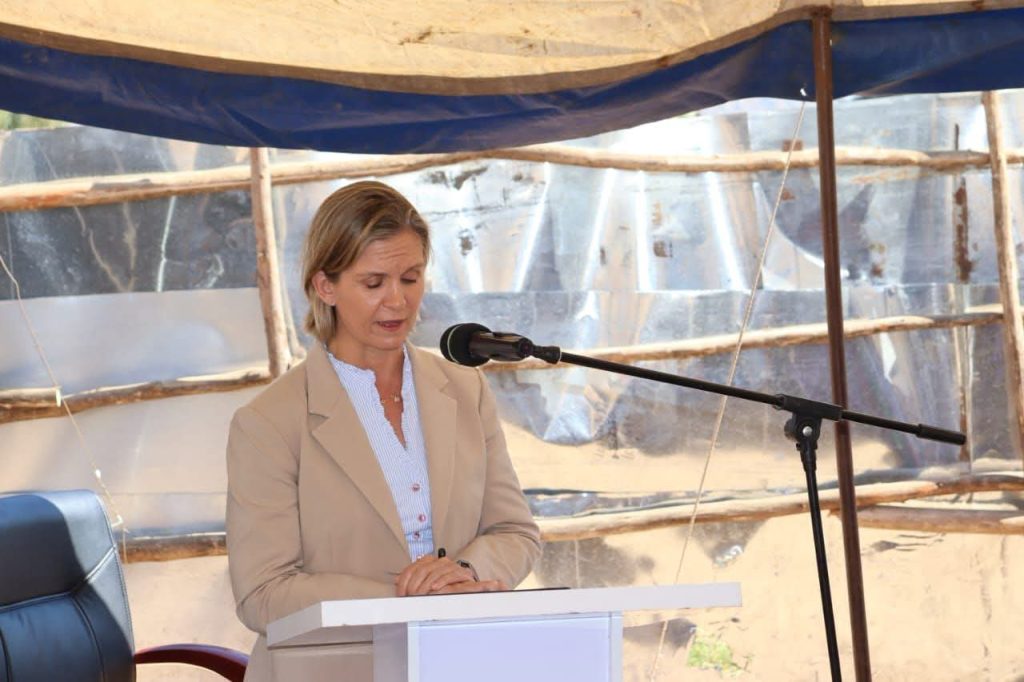 Ireland Urges Malawi to Remove Taxes on Clean Cooking Solutions 5 FB IMG 1784597463933