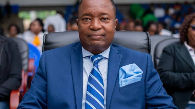 UTM Links Jane Ansah’s Reported Cabinet Exclusion to Saulos Chilima’s Past Experience