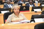 Government Expands Rural Electrification