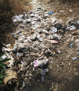 Improper Disposal of Used Diapers Along M1 Highway Raises Health and Environmental Concerns in Nathenje 2 IMG 20260725 083208