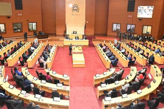 Calls Grow for Parliament to Scrutinise Major Public Finance Controversies from 2020–2025