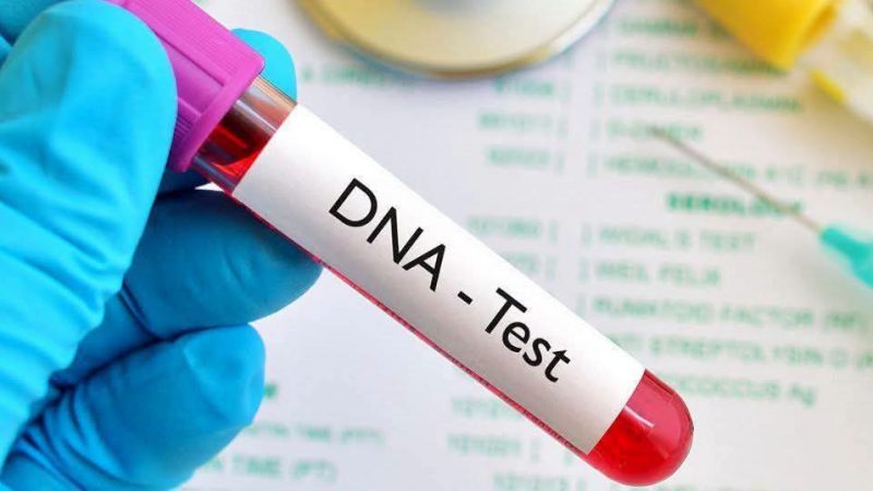 DNA Findings in Nigeria Raise Questions Over Paternity as Malawi Figures Also Attract Attention
