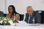 Speaker Suleman Calls for Stronger Parliamentary Capacity and Effective Oversight