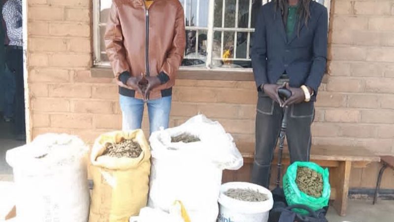 Rasta David Chikomeni Chirwa Arrested With 19.2kg of Suspected Chamba in Mzimba