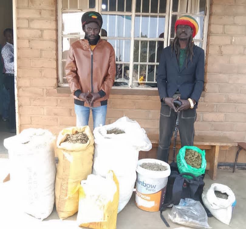 Rasta David Chikomeni Chirwa Arrested With 19.2kg of Suspected Chamba in Mzimba 2 IMG 20260808 073908