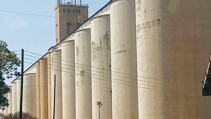 NFRA Secures 22,570 Tonnes of Maize as Malawi Steps Up El Niño Food Security Preparations