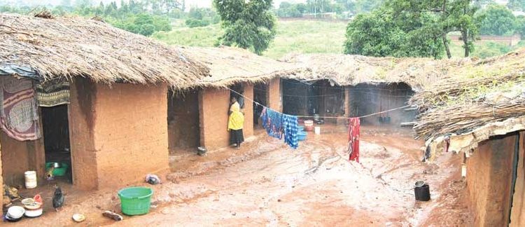 a Nyasa Times pic 2121
