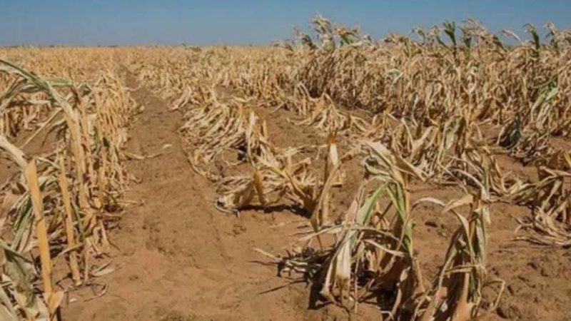 Government Steps Up El Niño Preparations as Malawi Faces Risk of Drought, Food Insecurity