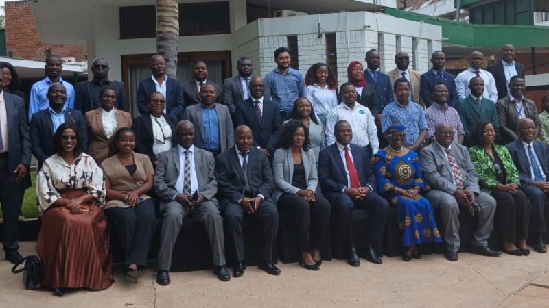 Malawi Pushes Green Industrialisation to Drive Economic Growth