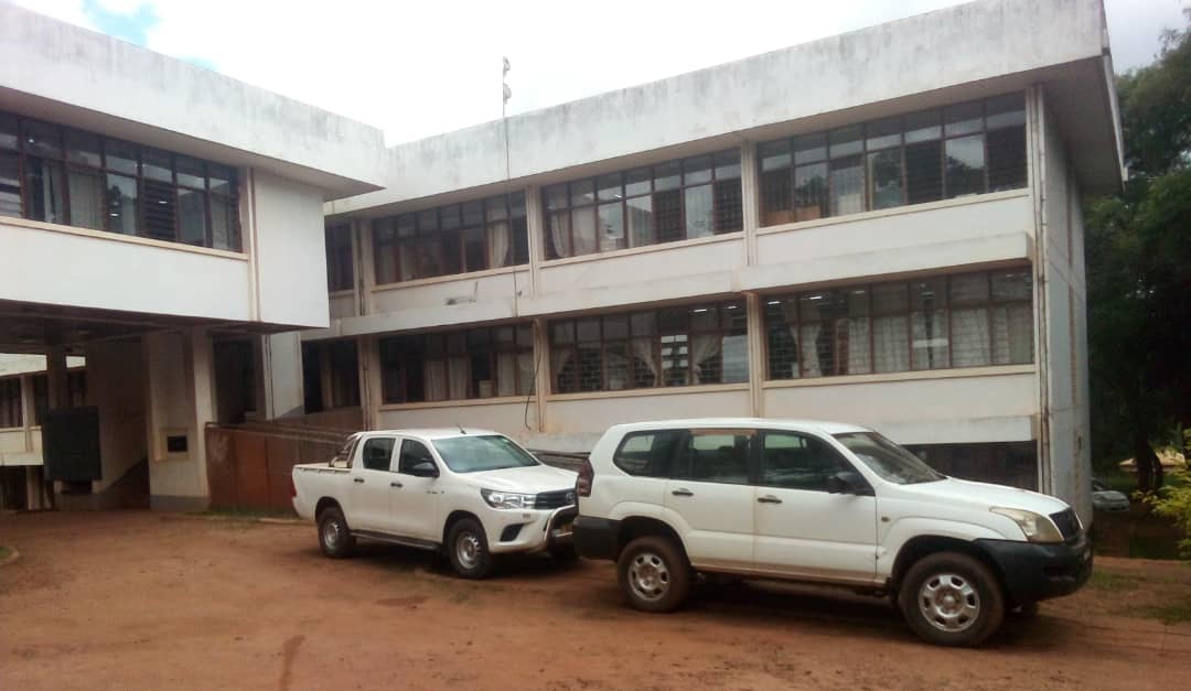 Dowa CSO urges council to improve DEC, TWG governance 1 IMG 20261030 103929